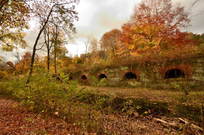 The Industrial History Beneath the Silence