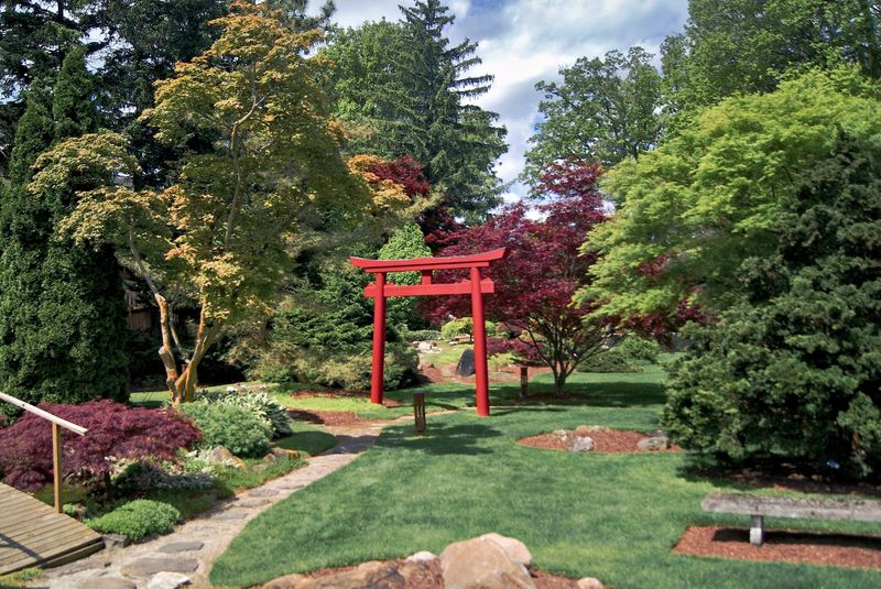 The Japanese garden steals the show The Japanese garden steals the show