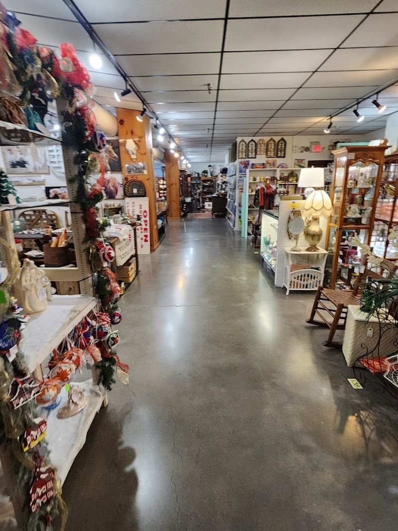 The Kind of Place Where One Quick Stop Turns Into an Afternoon Adventure