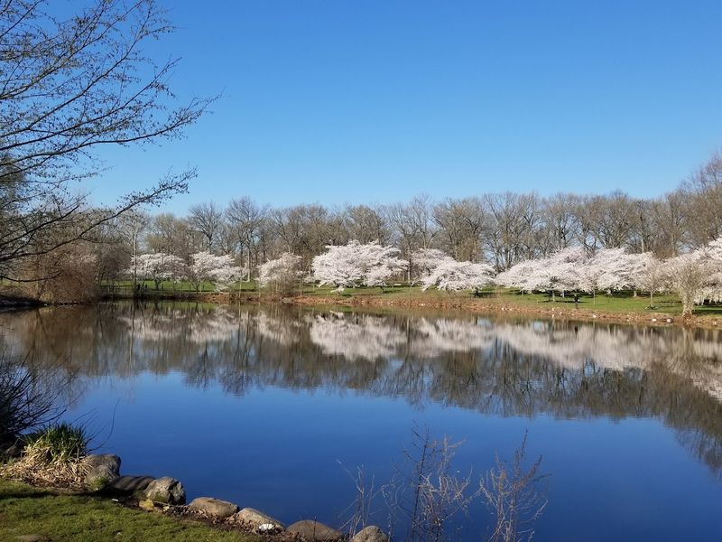 The Lake That Makes the Whole Park Feel Peaceful