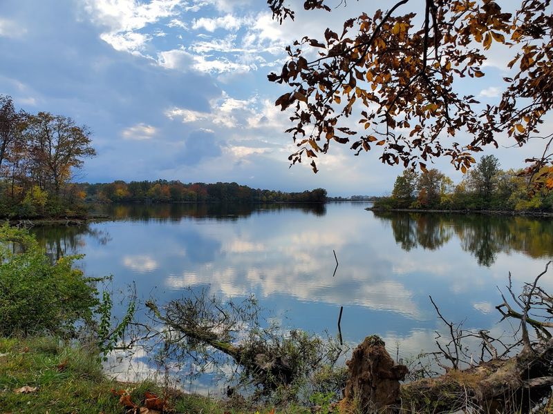 The Lake Views Are the Real Showstopper