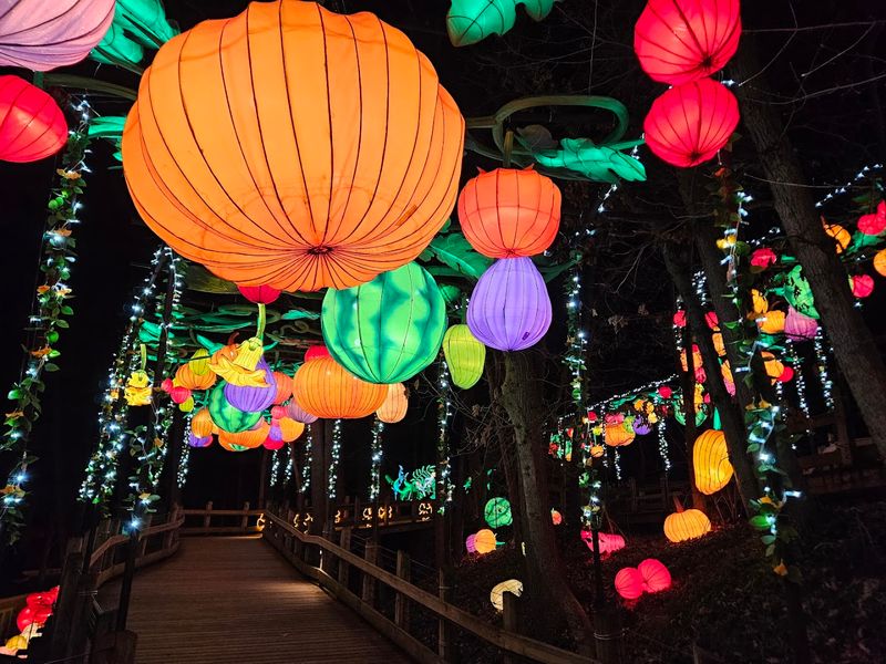 The Lantern Festival Experience at John Ball Zoo