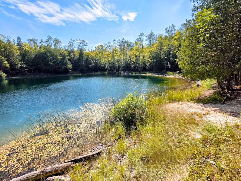 The Mysterious Sinkholes and Swimming Pond