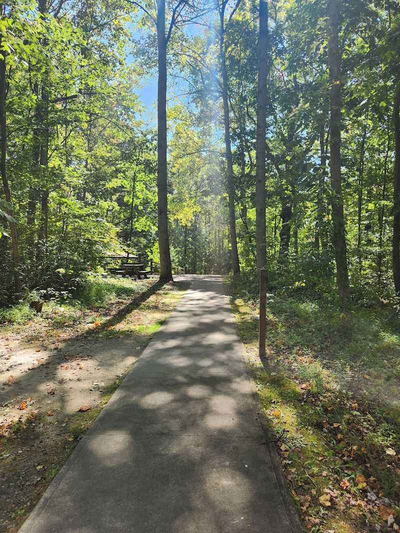 The Natural Area Feels Peaceful And Wooded