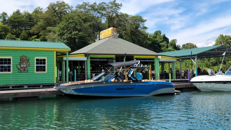 The Norris Lake Views Are The Main Attraction