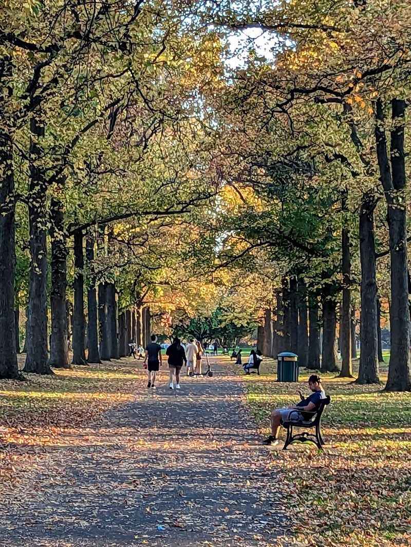 The Olmsted Design Touch Hiding in Plain Sight