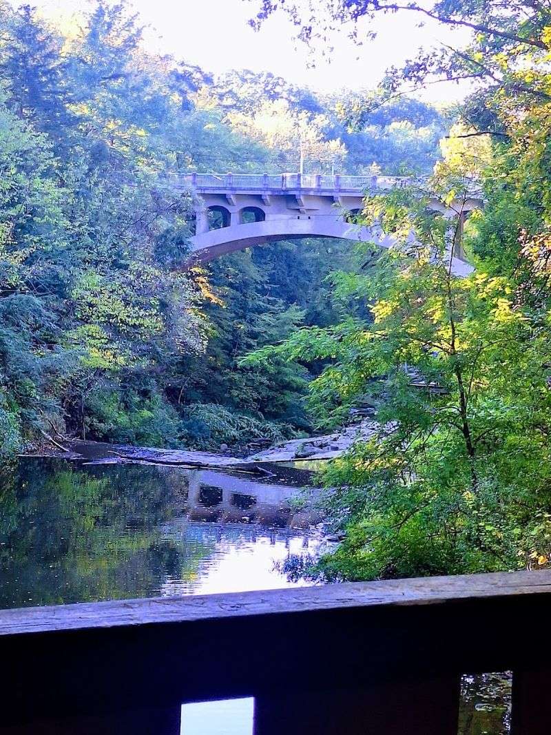 The Park Balances Romance And Everyday Adventure The Park Balances Romance And Everyday Adventure