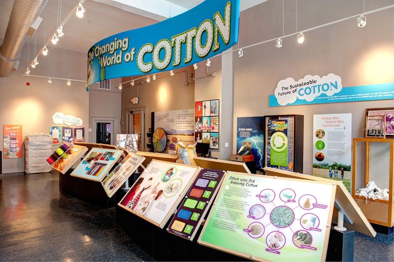 The People, Labor, and Lives Behind the Cotton Boom