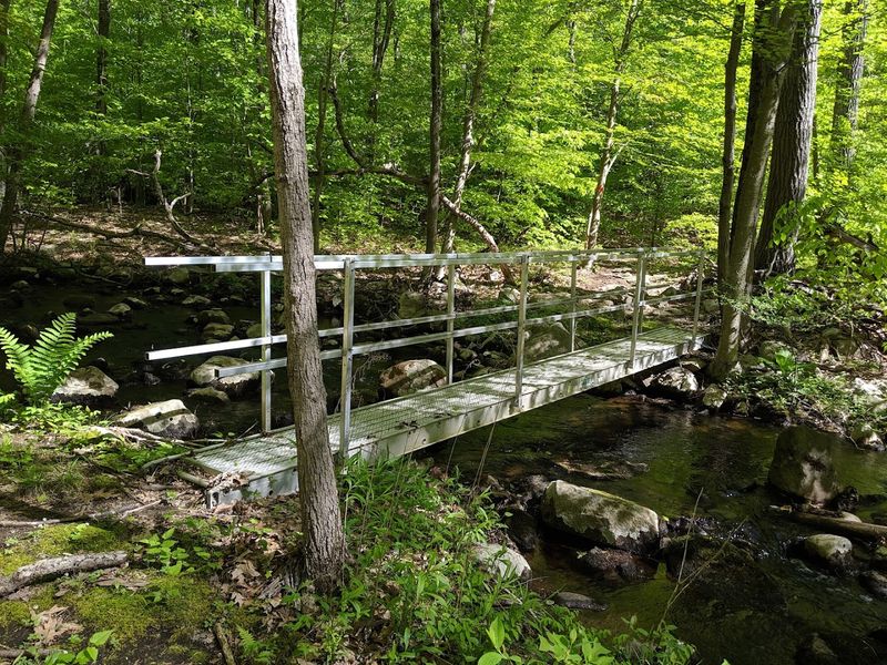 The Quiet West Milford Trail Hiding a Forgotten Industrial Past