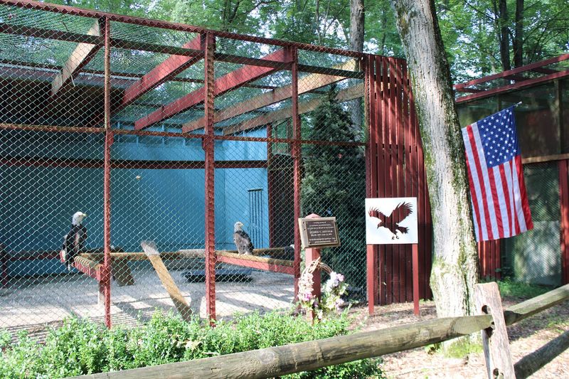 The Raptor Trust - Millington