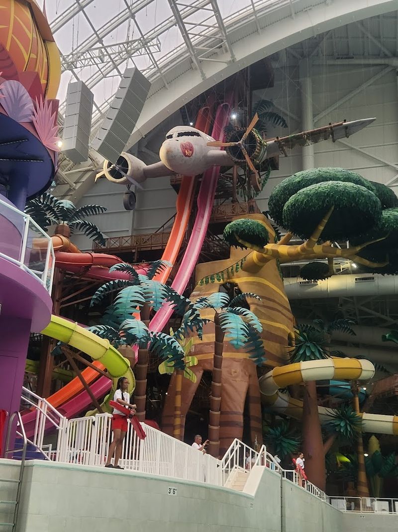 The Record-Breaking Slides That Bring the Thrills