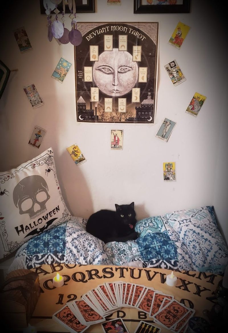 The Resident Cat Who Quietly Steals the Show