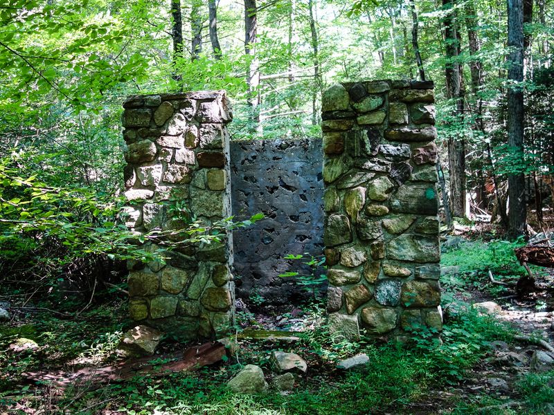 The Ruins That Suddenly Appear Deep in the Woods
