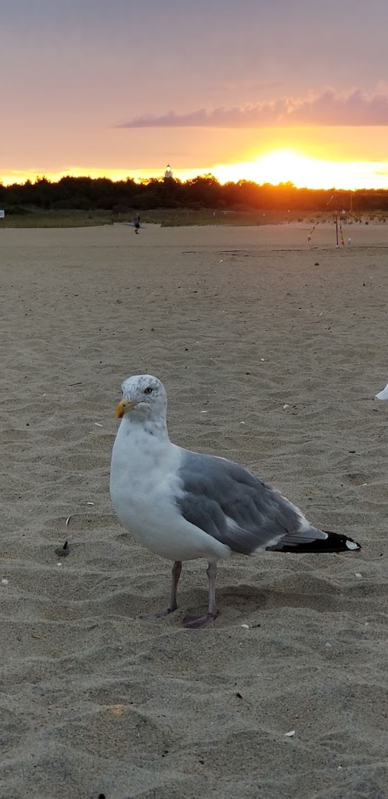The Sandy Hook Beach That Somehow Still Feels Like a Secret