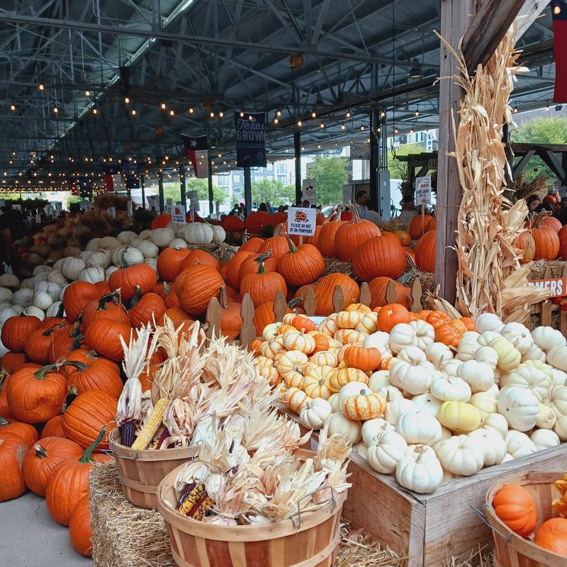The Shed: Weekend Farm Finds