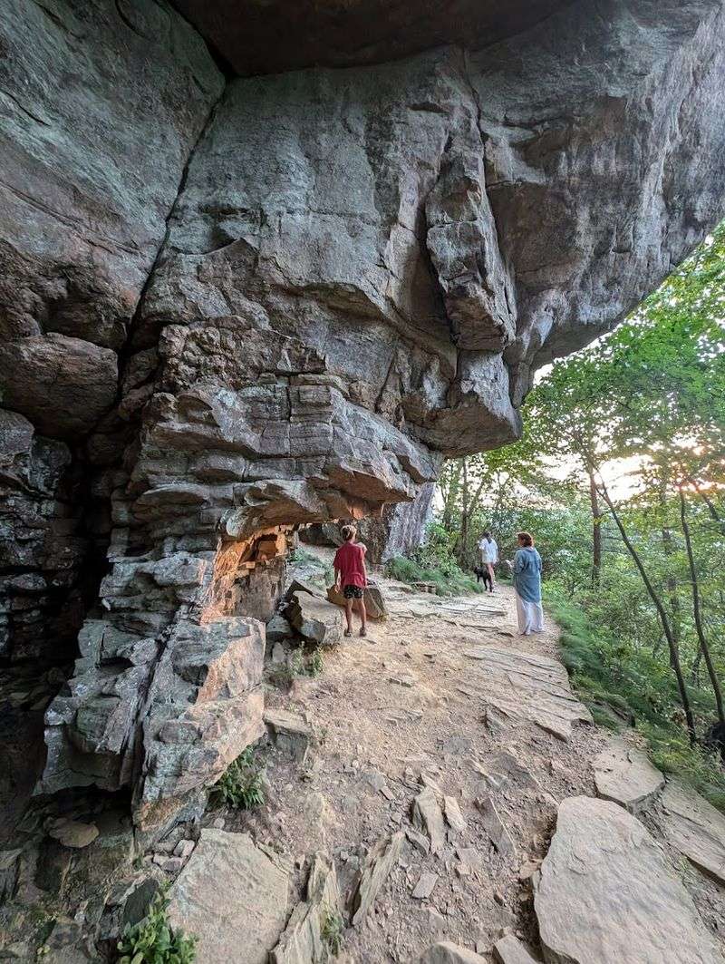 The Short Hike Makes The Big View Feel Even More Rewarding