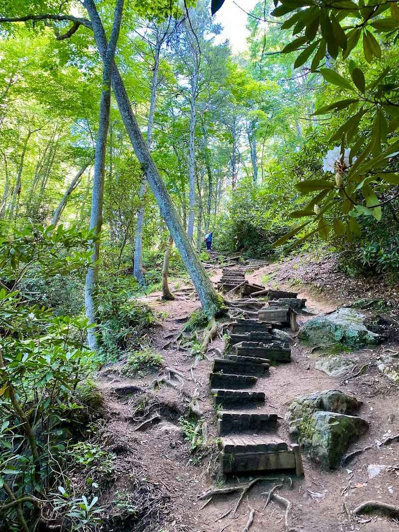 The Short Hike Makes The Payoff Even Sweeter
