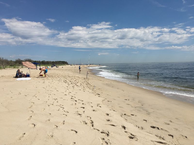 The South Dune Trail Is Short Easy and Full of Surprises
