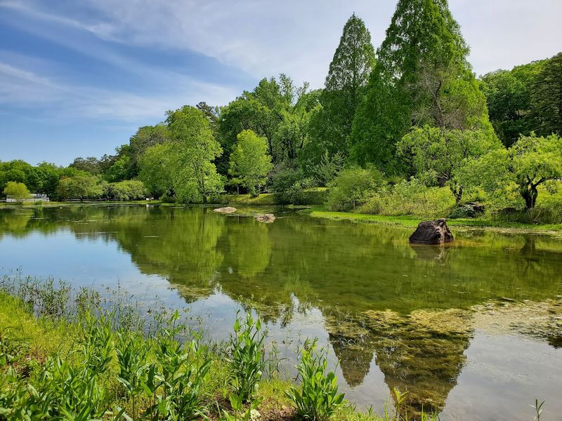 The Story Behind This 300-Acre Arboretum and Nature Center