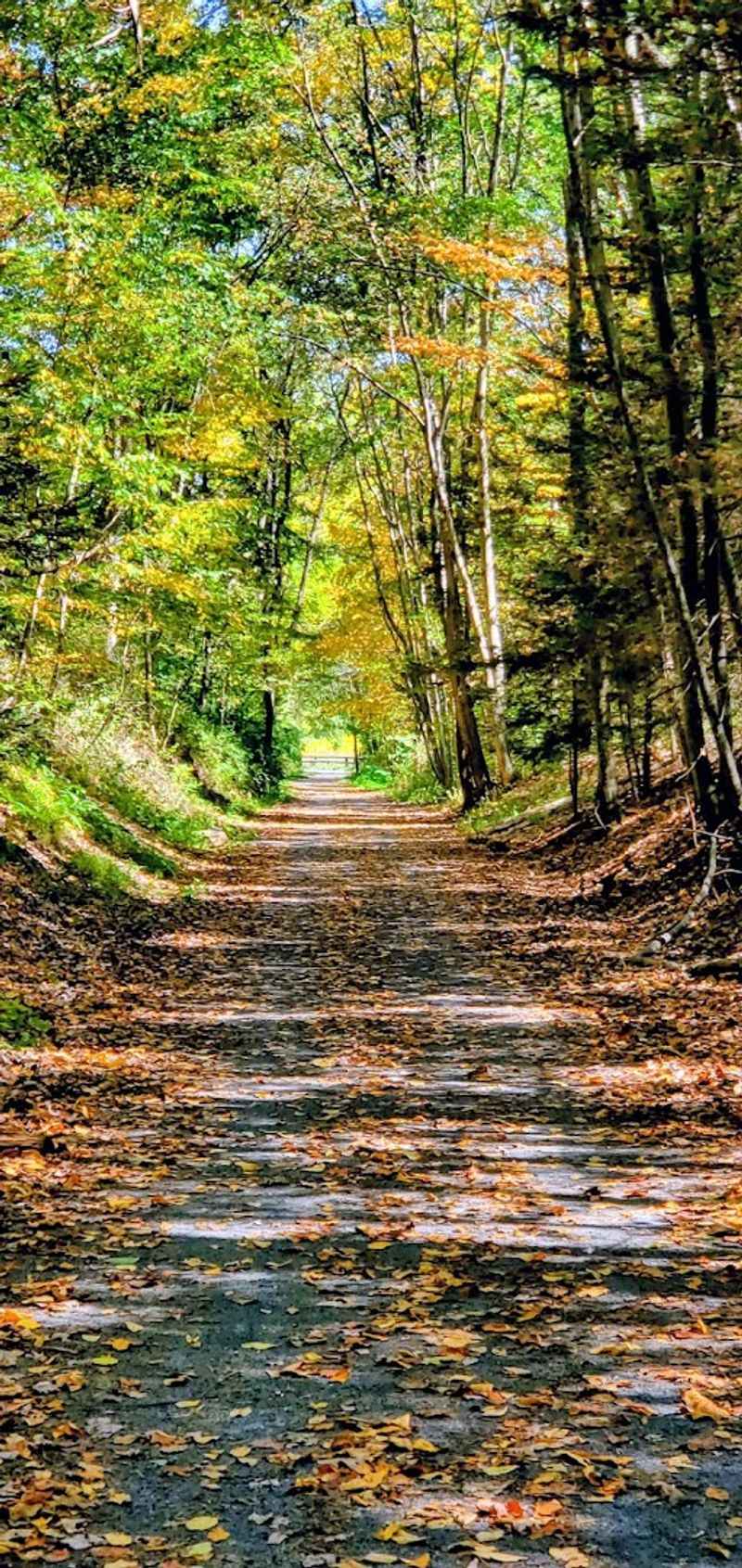 The Swatara Rail Trail is perfect for an easy, scenic outing