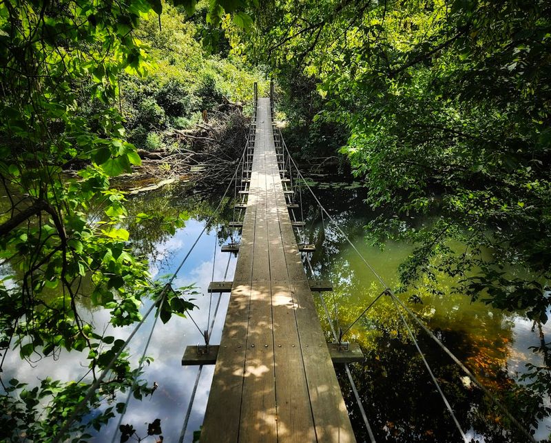 The Swinging Bridge over Stony Brook - Princeton