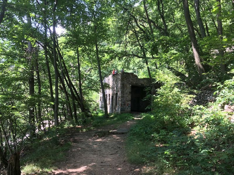 The Top, the Dinky Shed, and the First Reward