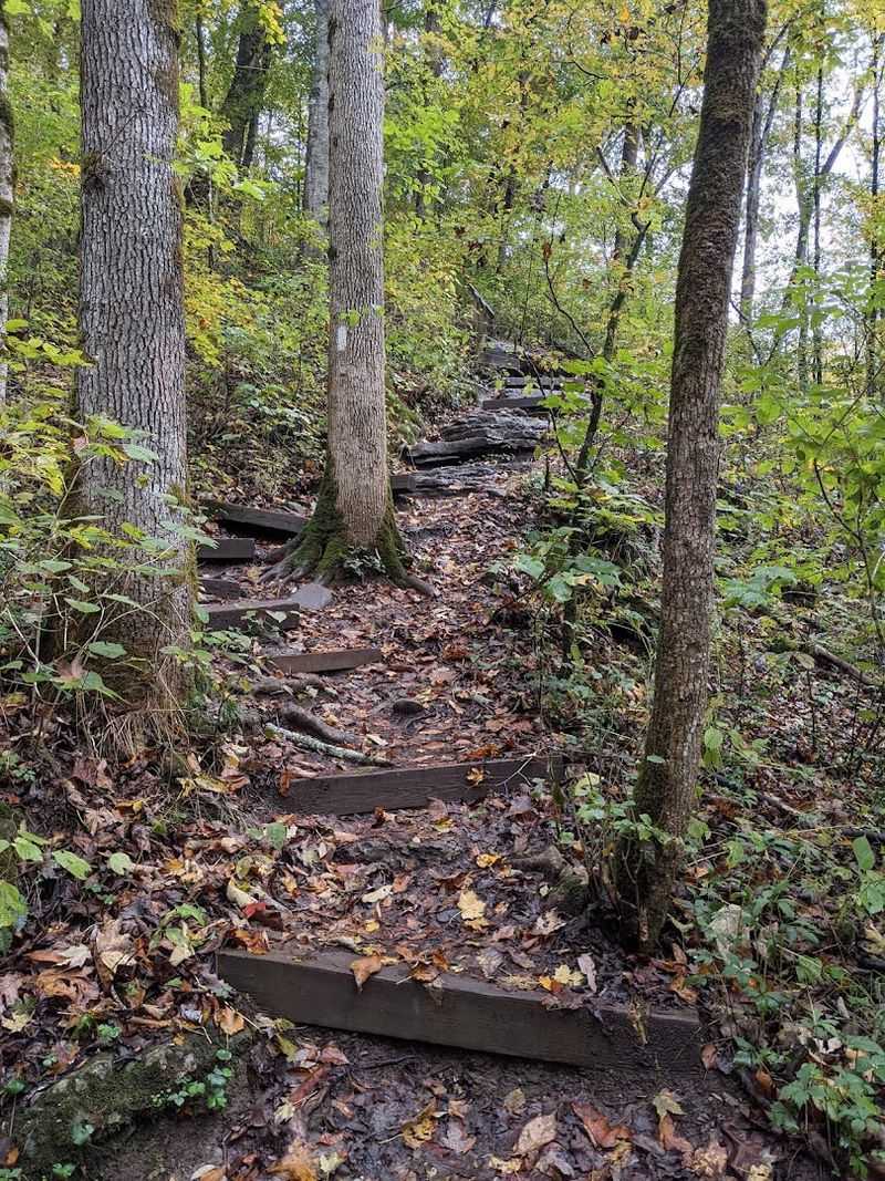 The Trail Can Be Slippery, So Come Ready for a Real Nature Adventure