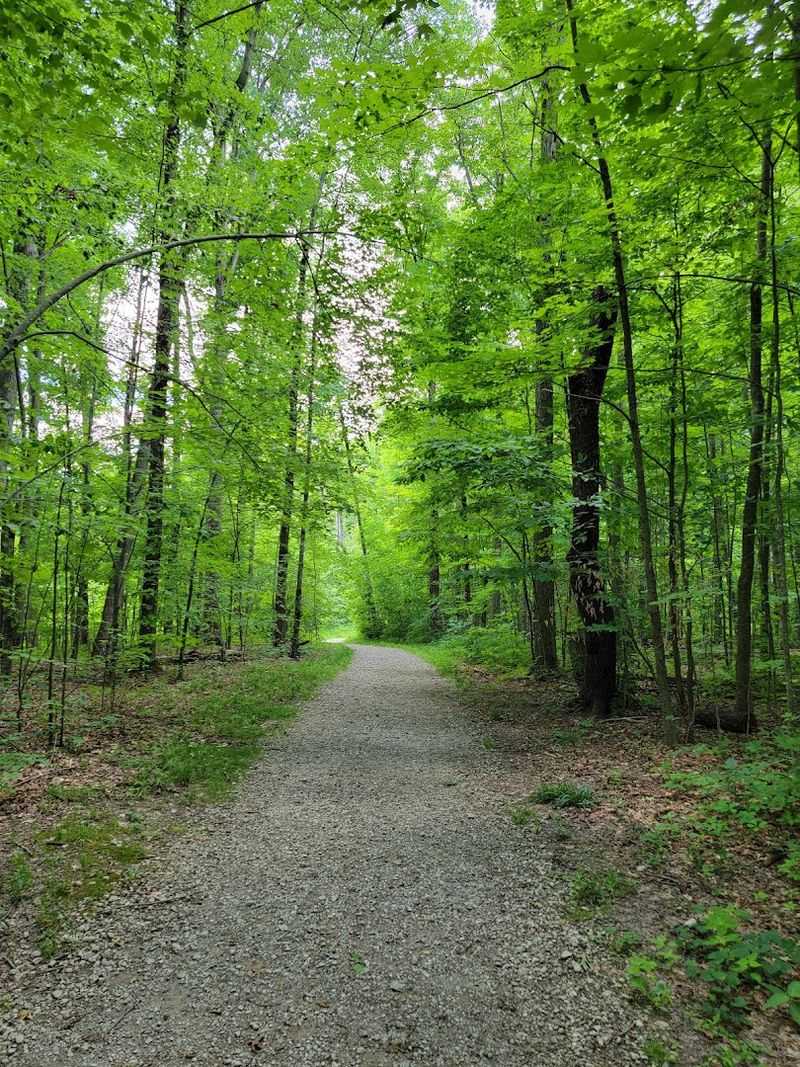 The Trails Are The Real Secret