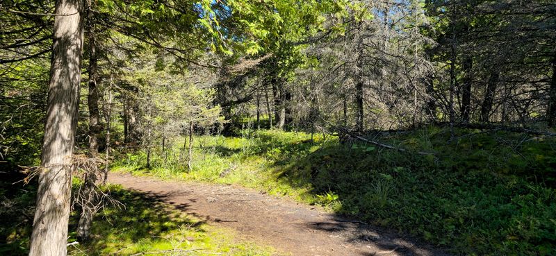 The Trail's Rugged and Ever-Changing Terrain