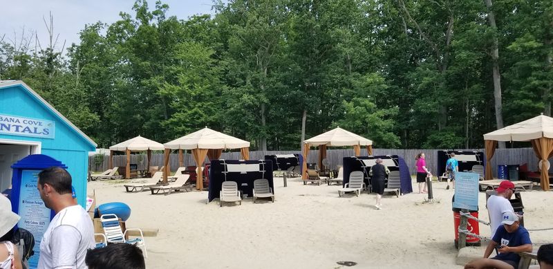 The Tropical Landscaping Makes New Jersey Feel Far Away The Tropical Landscaping Makes New Jersey Feel Far Away