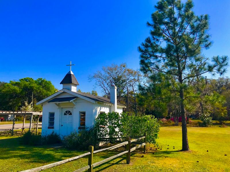 The Unforgettable Drive In on Sea Island Parkway