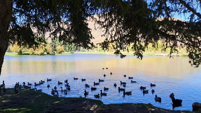 The Visitor Center, Pond, and Easy Moments