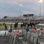 The Walking Horse Capital of the World Is Hiding in Tennessee, and It's Definitely Worth Visiting