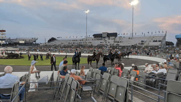 The Walking Horse Capital of the World Is Hiding in Tennessee, and It’s Definitely Worth Visiting