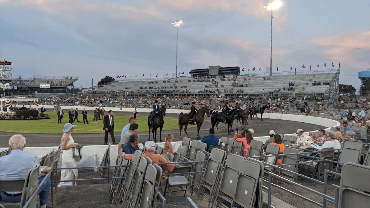 The Walking Horse Capital of the World Is Hiding in Tennessee, and It's Definitely Worth Visiting