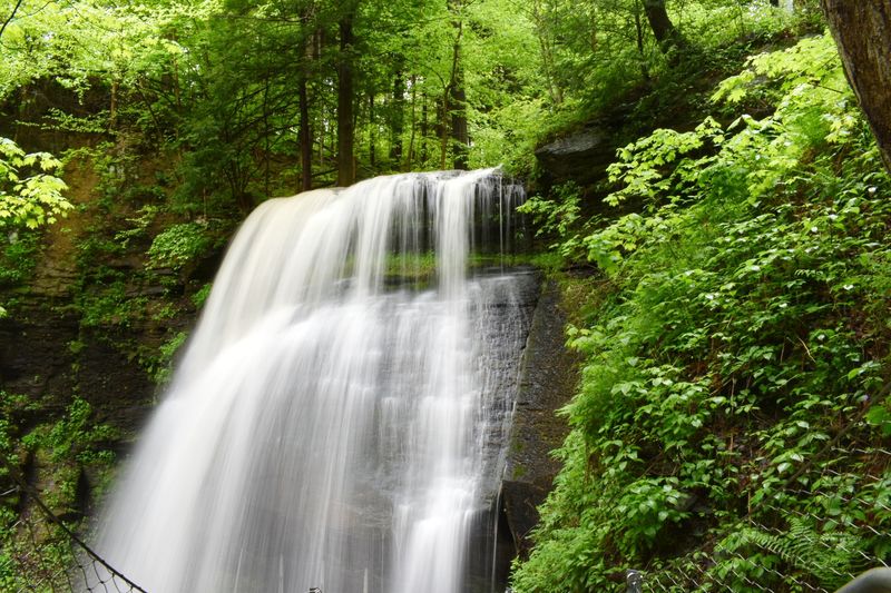 The Waterfall Itself Is The Star