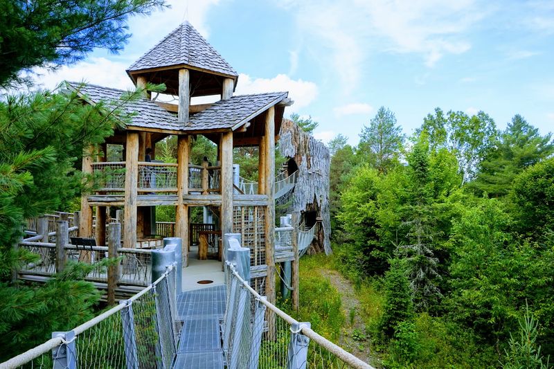 The Wild Walk At The Wild Center