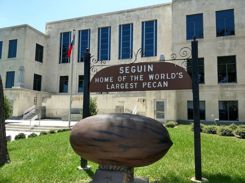 The World's Largest Pecan
