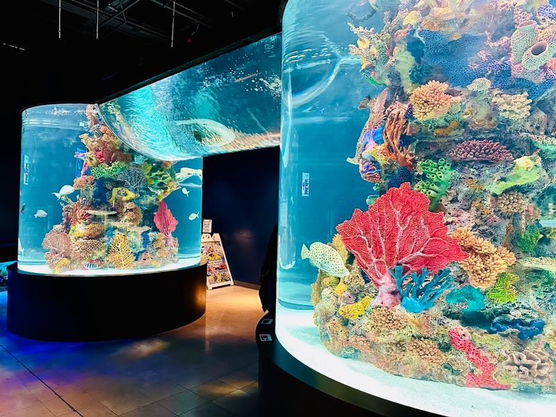The aquarium side is small but packed with variety