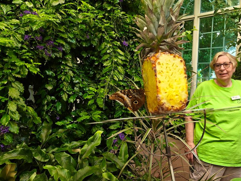 The atrium blends beauty with small creature exhibits