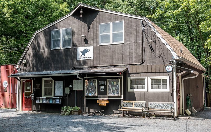 The bird hospital hiding in the New Jersey woods The bird hospital hiding in the New Jersey woods