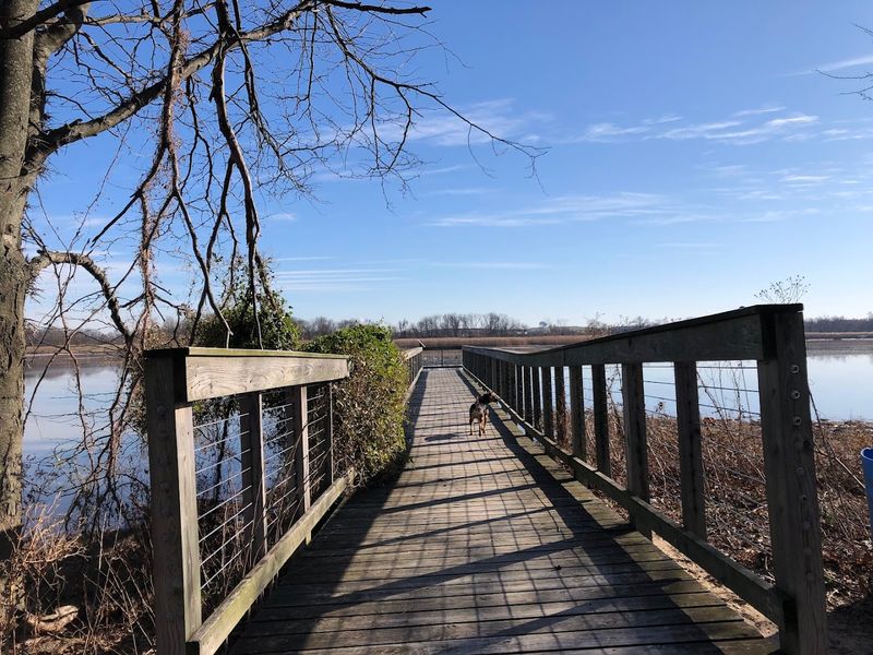 The boardwalk trail that makes Palmyra Cove feel wild