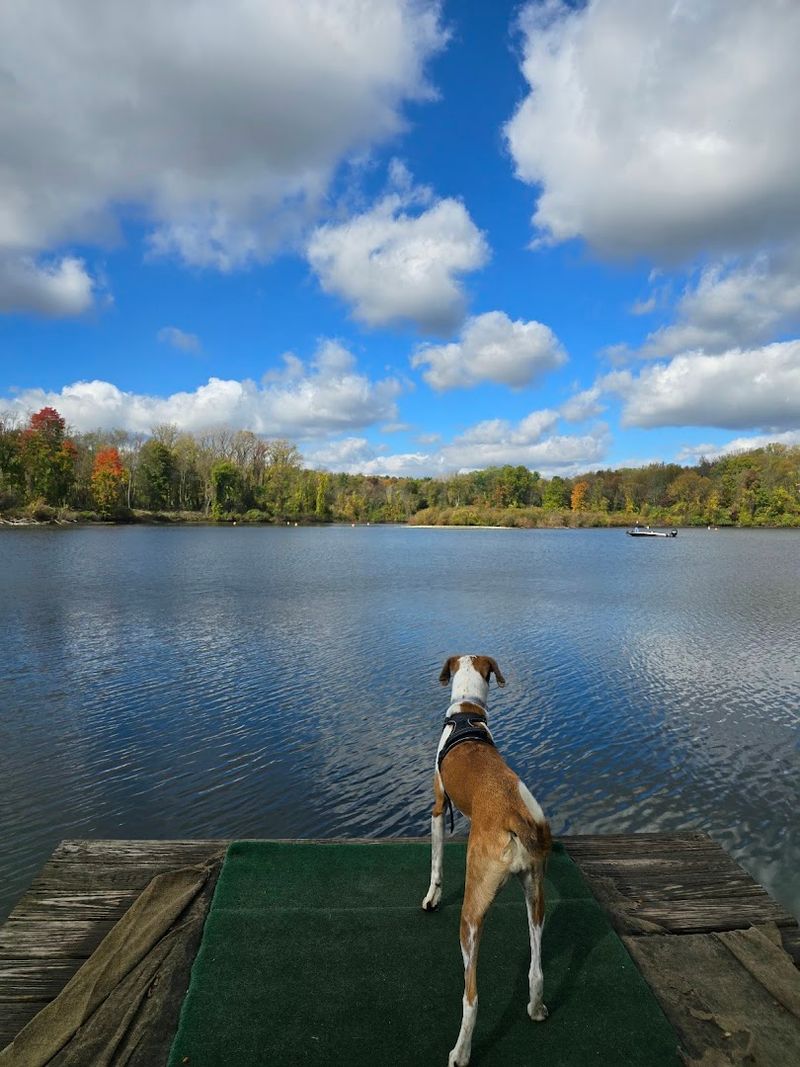 The dog-friendly atmosphere makes this park even more lovable The dog-friendly atmosphere makes this park even more lovable