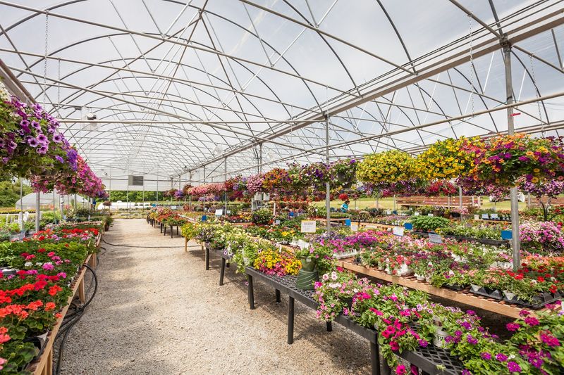 The garden center adds color to every visit