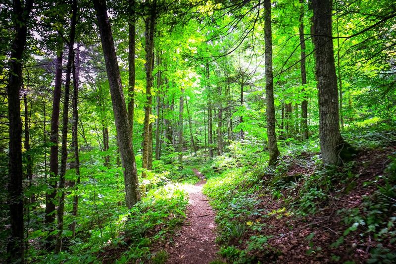 The hiking here is the real main event The hiking here is the real main event