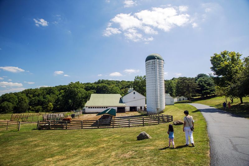 The peaceful farm setting that feels like a different era