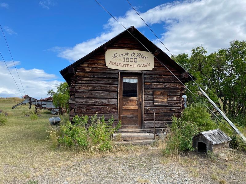 The preserved structures feel authentic, not polished