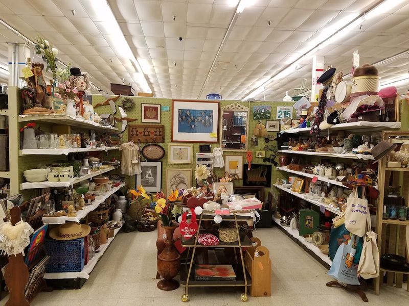 The selection is wildly eclectic and that is the fun of it