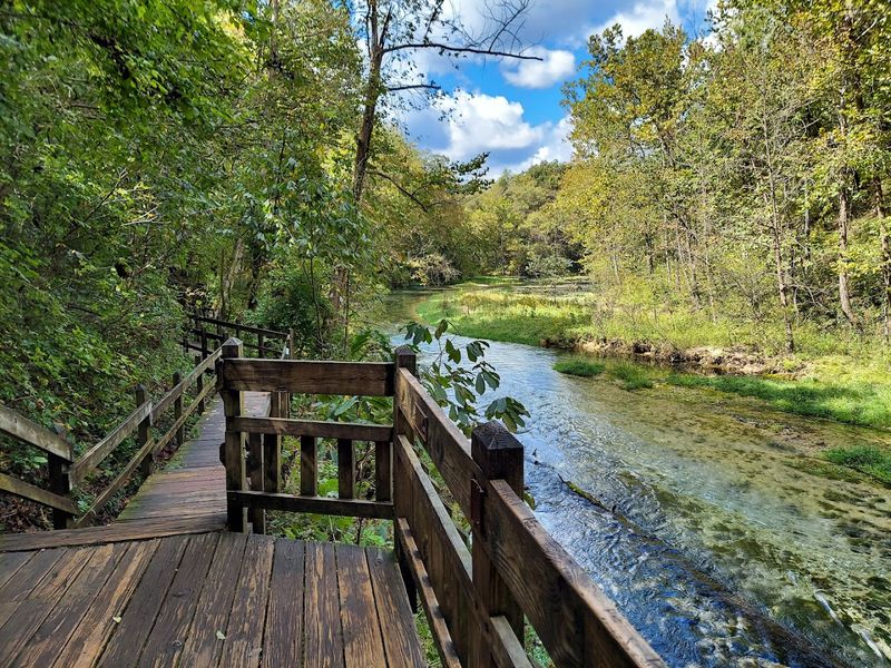 The spring and boardwalk show off the park's wild side