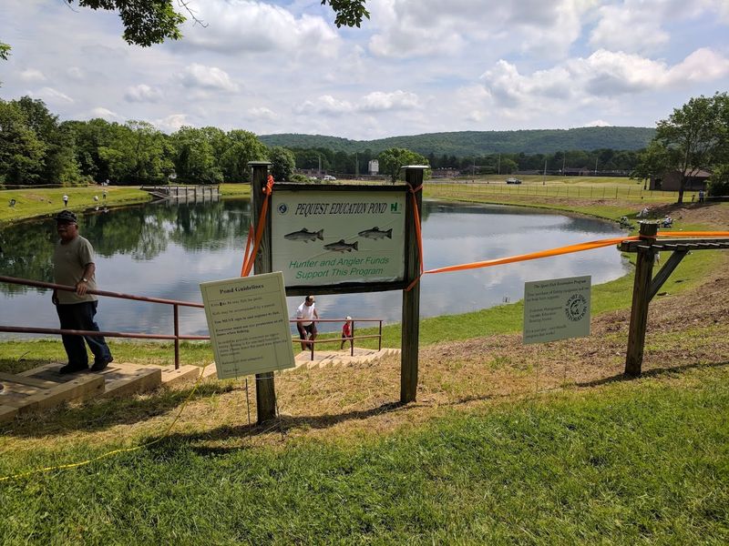 The spring-fed system that makes Pequest perfect for raising fish
